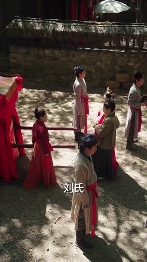 昭昭婉心(83集) 昭昭婉心(83集)一口气追完短剧