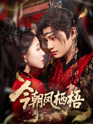 今朝凤栖梧(68集) 今朝凤栖梧(68集)免费短剧看不停