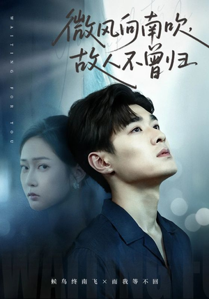 微风向南吹,故人不曾归(72集) 微风向南吹,故人不曾归(72集)爱短剧爱追剧