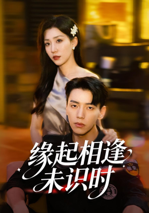 缘起相逢未识时(57集) 缘起相逢未识时(57集)全集免费看短剧