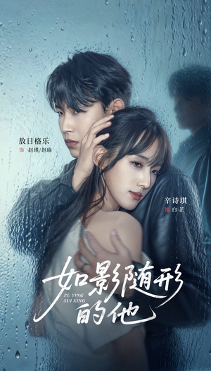 如影随形的他（30集）直接看到大结局