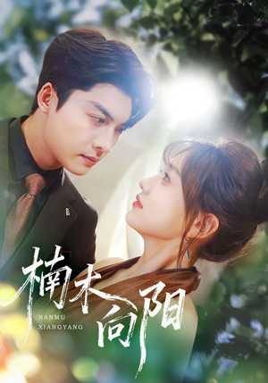 楠木向阳(70集) 楠木向阳(70集)精彩热门短剧