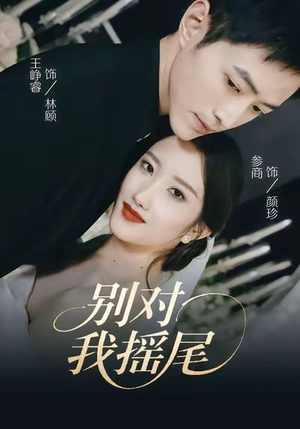 别对我摇尾(59集) 别对我摇尾(59集)热门短剧抢先
