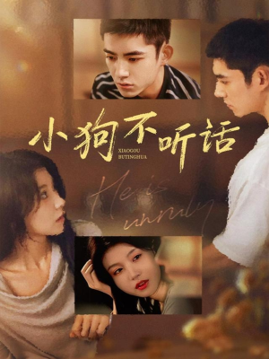 小狗不听话(70集) 小狗不听话(70集)精彩短剧来了