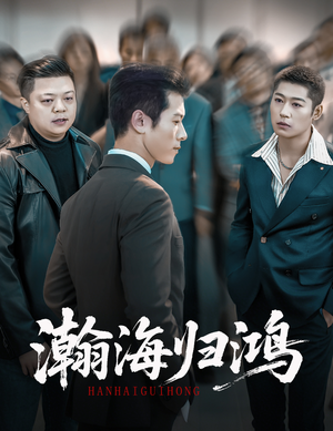 瀚海归鸿(74集) 瀚海归鸿(74集)免费在线看