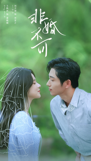 非婚不可(65集) 非婚不可(65集)热门短剧榜单