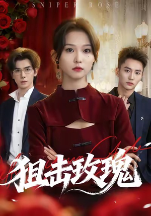 狙击玫瑰(47集) 狙击玫瑰(47集)看过的人都说好