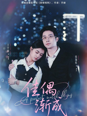 佳偶渐成(71集) 佳偶渐成(71集)最新热剧免费看