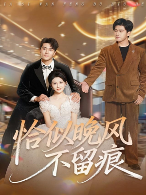 恰似晚风不留痕(61集) 恰似晚风不留痕(61集)免费观看全集