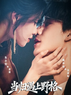 当归遇上野格(66集) 当归遇上野格(66集)最新短剧推荐