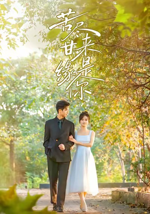 苦尽甘来缘是你（45集）热门短剧追不停