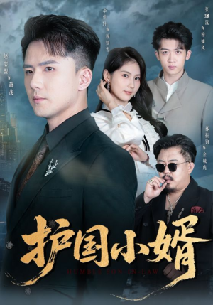 护国小婿(60集) 护国小婿(60集)短剧全集更精彩