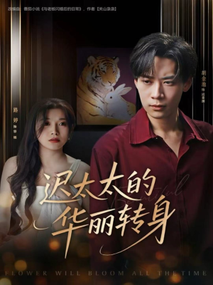 迟太太的华丽转身(80集) 迟太太的华丽转身(80集)爱短剧爱追剧