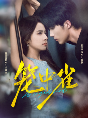 笼中雀(65集) 笼中雀(65集)在线看