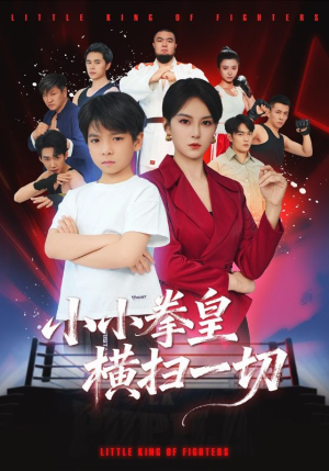 小小拳皇横扫一切(60集) 小小拳皇横扫一切(60集)最后的大结局