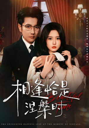 相逢恰是涅槃时(63集) 相逢恰是涅槃时(63集)短剧免费看