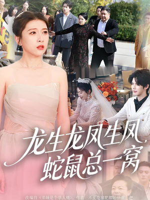 龙生龙凤生凤,蛇鼠总一窝(60集) 龙生龙凤生凤,蛇鼠总一窝(60集)全集免费