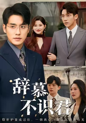 辞慕不识君(77集) 辞慕不识君(77集)深深爱上这部剧