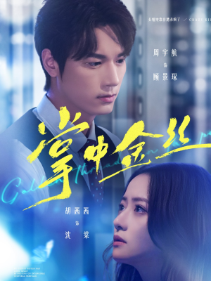 掌中金丝(60集) 掌中金丝(60集)热门短剧看不停