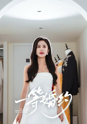 一等婚约(37集) 一等婚约(37集)在线观看全集