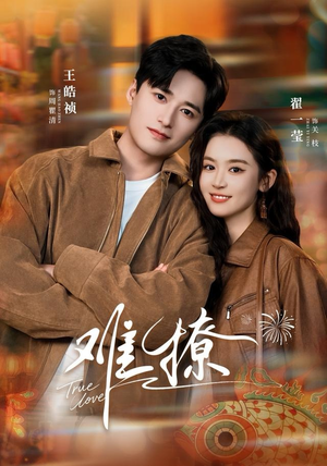 难撩(100集) 难撩(100集)短剧中追到爽