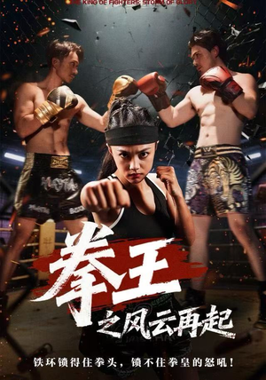 拳王之风云再起（50集）在哪里可以全集