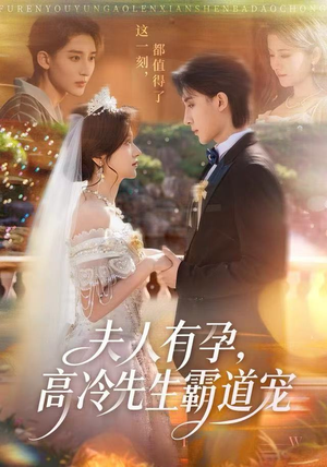 夫人有孕，高冷先生霸道宠（60集）好看短剧看不停