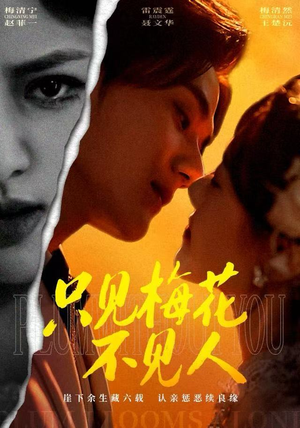 只见梅花不见人（63集）最新上映的短剧