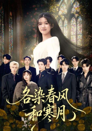 尘埃里的真千金（67集）这短剧太好看了