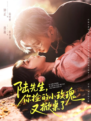 陆先生，你捡的小玫瑰又掀桌了（74集）最火爆短剧