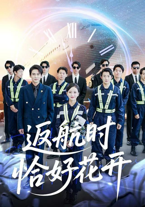 返航时恰好花开（101集）全集我都看完了