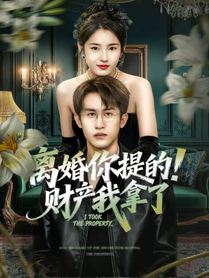 离婚你提的！财产我拿了（63集）爆款短剧推荐