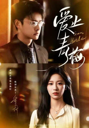 爱止青梅（60集）每日短剧追不停