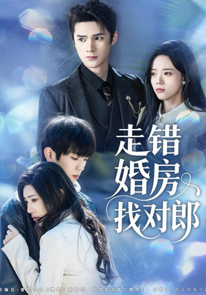 走错婚房找对郎（50集）网上可以看吗