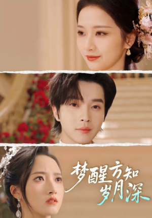 梦醒时你在我身侧（80集）好看短剧看不停