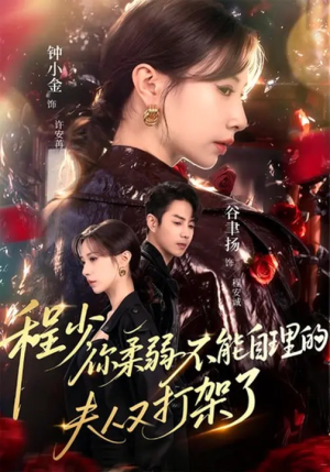 程少你柔弱不能自理的夫人又打架了（60集）迅雷网盘观看