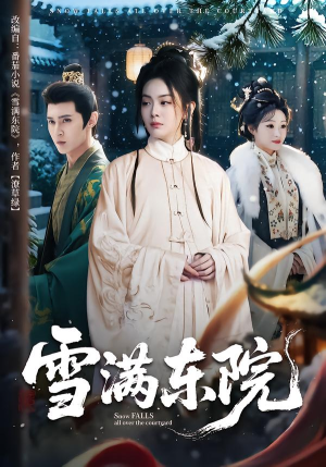 雪满东院（60集）全集免费