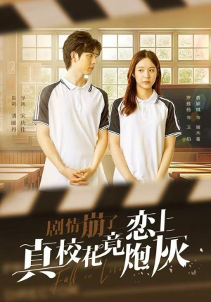 剧情崩了真校花竟恋上炮灰（78集）在线观看