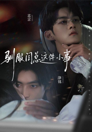 驯服闫总这件小事（58集）推荐热门短剧