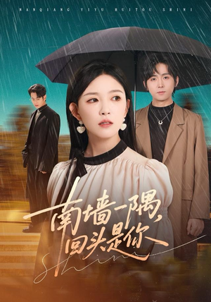 南墙一隅，回头是你（61集）最新上映免费看