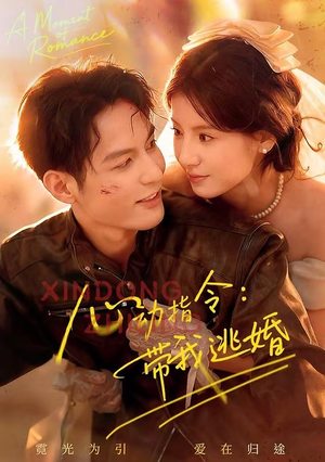 心动指令：带我逃婚（61集）精彩短剧免费看