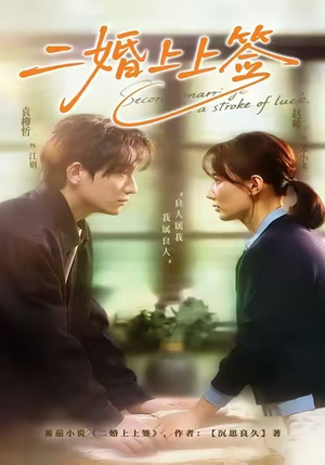 二婚上上签(71集) 二婚上上签(71集)短剧在线更新