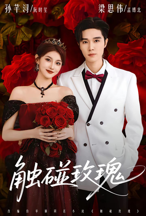 触碰玫瑰(80集) 触碰玫瑰(80集)高分推荐免费看