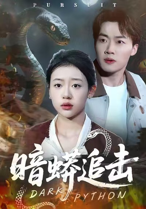 暗蟒追击（35集）民国短剧推荐