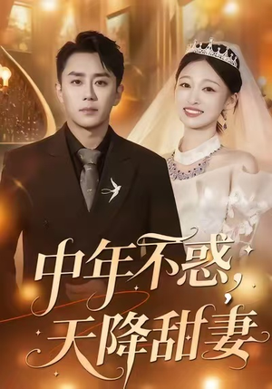 中年不惑，天降甜妻（60集）全集免费看短剧