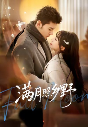 满月照乡野（70集）网盘在线观看