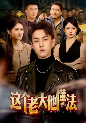 这个老大他懂法(100集) 这个老大他懂法(100集)夸克网盘在线看