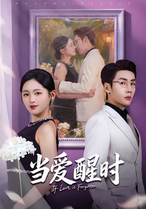 爱在等风不等你（74集）口碑之选免费看