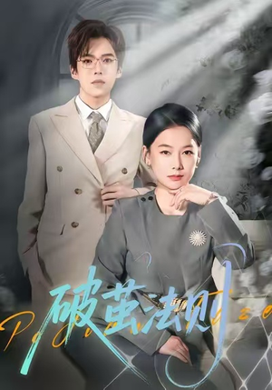 破茧法则（66集）红果免费短剧