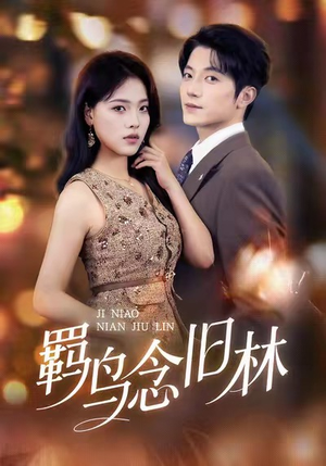 羁鸟念旧林（60集）剧情简介